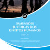 dimensoes-juridicas-dos-direitos-humanos-vol-2-pembroke-collins