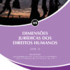 dimensoes-juridicas-dos-direitos-humanos-vol-4-pembroke-collins